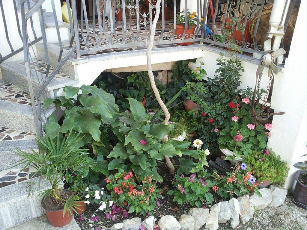 Apartments Blago سوتوموري المظهر الخارجي الصورة